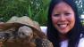 Pokey the tortoise has been reunited with his owner in Foster City.
