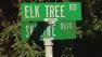Elk Tree and Skyline intersection sign
