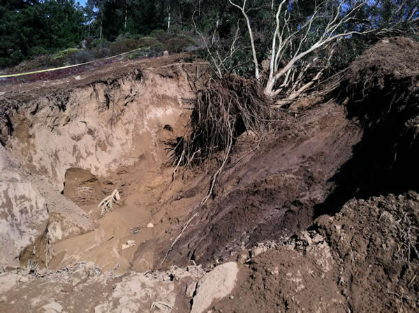 Mud in Daly City