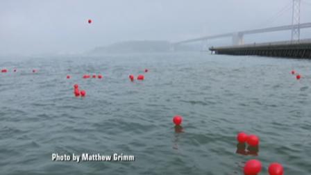A balloon release in created a lot of controversy after many of the balloons fell into the bay.
