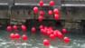 A balloon release in created a lot of controversy after many of the balloons fell into the bay.
