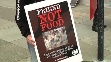 Animal rights activists protested against the human consumption of dog meat in front of the Korean consulate in San Francisco.