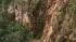 Telegraph Hill rockslide prompts partial...