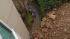 Telegraph Hill rockslide prompts partial...