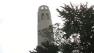 Coit Tower