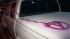 Vandals target police station, Mission... :: Vandals spray paint, damage cars in Mission District