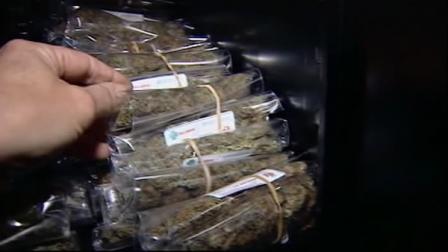pot clubs