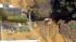 Water main break causes major flooding