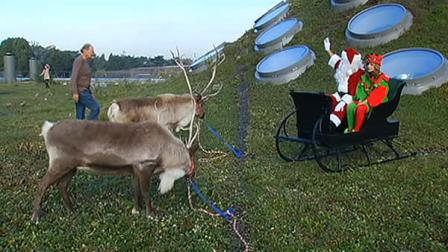 Santa and his reindeer are now in residence on top of the California Academy of Sciences in Golden Gate Park.