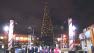 San Francisco Pier 39 Christmas tree