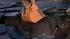 Water main break floods neighborhood in SF :: West Portal sinkhole