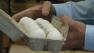 More than 32,000 California eggs were dropped off at the San Francisco Food Bank.