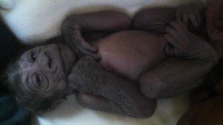 The 5-pound, 1-ounce female western lowland gorilla was born Wednesday to Nneka and Oscar Jonesy.
