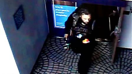 Man suspected of throwing cats into the bay
