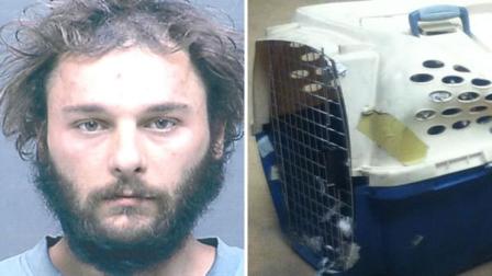 A man suspected of throwing two cats into San Francisco Bay last
week was arrested Friday afternoon.