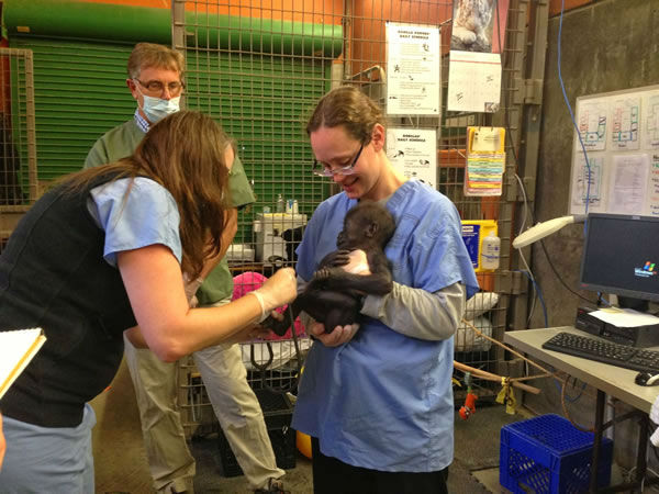 Born at 5 pounds, 1 ounce, her first night went...