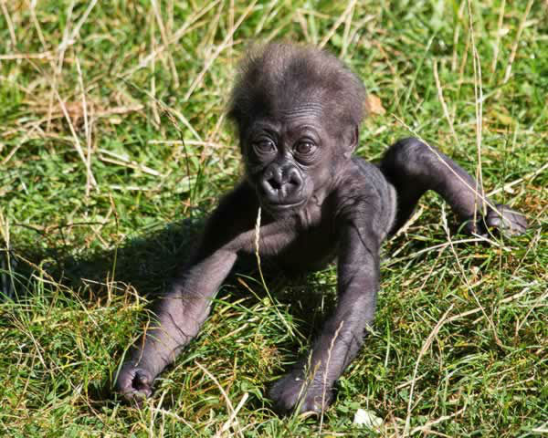 Born at 5 pounds, 1 ounce, her first night went...