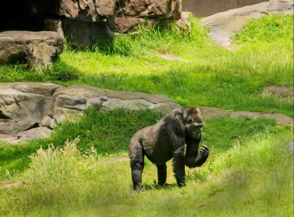 Born at 5 pounds, 1 ounce, her first night went...