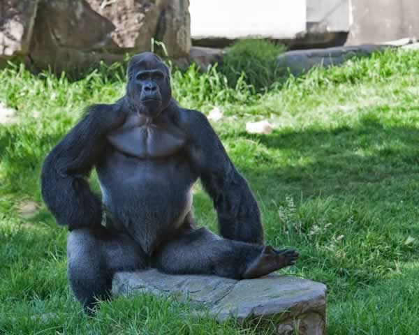 Born at 5 pounds, 1 ounce, her first night went...