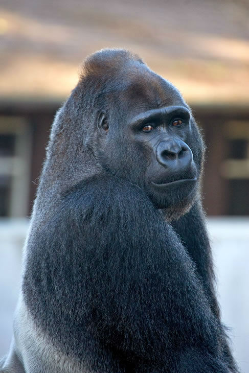 Born at 5 pounds, 1 ounce, her first night went...