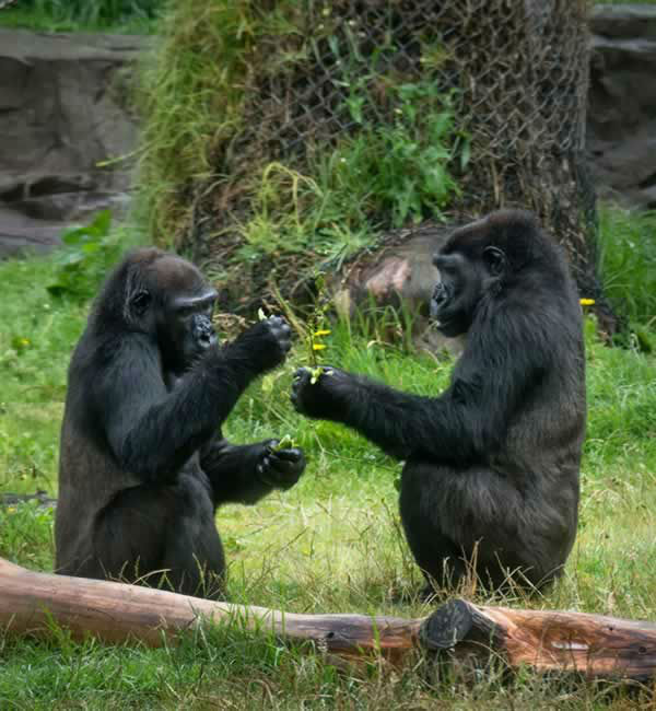 Born at 5 pounds, 1 ounce, her first night went...