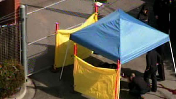 Body Found Discovered Central Park Santa Clara County