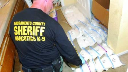 Law enforcement officials in Gilroy made an $80 million drug bust Thursday -- the largest ever in the area.