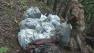 Massive cleanup underway at former pot farm