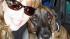 Woman petitioning for recall of Purina dog... :: Woman petitioning for recall of Purina dog treats