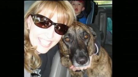 Rachel Chambers claimed that her dog Cali died after eating Milos kitchen dog treats