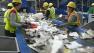 A new, state-of-the-art recycling facility promises to divert most of San Joses waste from landfills.