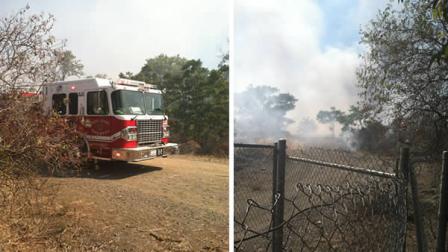brush fire near I-280 in San Jose