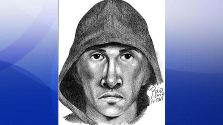 sketch of Palo Alto robber
