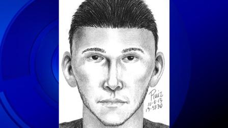 Palo Alto police have released a sketch of one of two suspects in a random attack on a motorist.