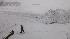 A airport worker walks through the snow on the...