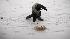 A man walks his dog down a snow covered sidewalk...