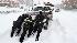 Three Waynesboro police officers help push Roy...
