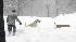 A resident plays with his dogs as snow piles up...