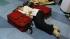 The ferocious tsunami spawned by one of the...