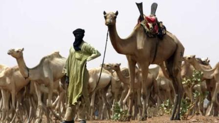 With almost no resistance, al-Qaida in the Islamic Maghreb, or AQIM, is implanting itself in Africas soft tissue, choosing as its host Mali, one of the poorest nations on earth. (AP Photo/Alfred de Montesquiou, File)