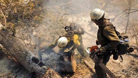 Hundreds evacuated as Colorado, New Mexico fires grow | abc30.com