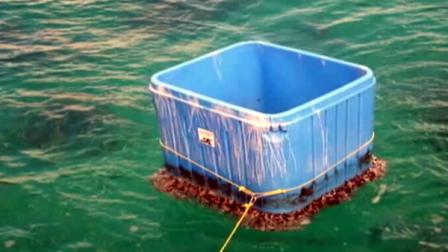 Bin in Hawaii confirmed to be Japan tsunami debris