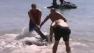 A man who was called a hero for dragging a shark away from children has been fired because he was on sick leave when it happened.