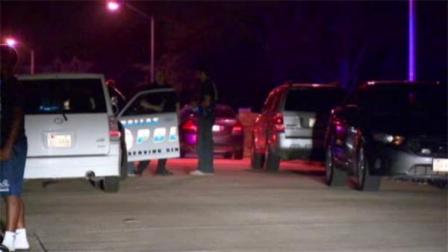 Four dead in Dallas-area shootings

