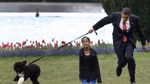 Bo and Obama
