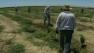 California farm workers