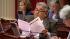 Senate approves Democratic budget bills :: Senate approves Democratic budget bills