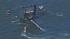 Capsized Oracle Team USA boat brought ashore :: An Oracle Team USA boat with the Americas Cup racing event capsized in San Francisco Bay this afternoon.