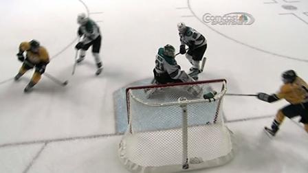 SJ Sharks game