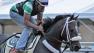 Exercise rider Rudy Quevedo trots Preakness Stakes entrant Oxbow for Hall of Fame trainer D. Wayne Lukas
